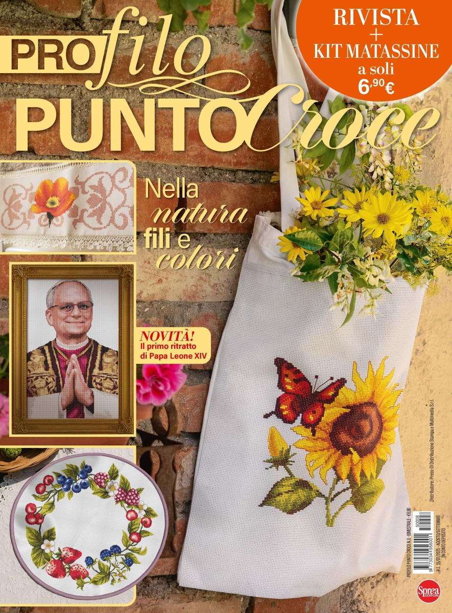 Copertina Profilo Punto Croce n.8