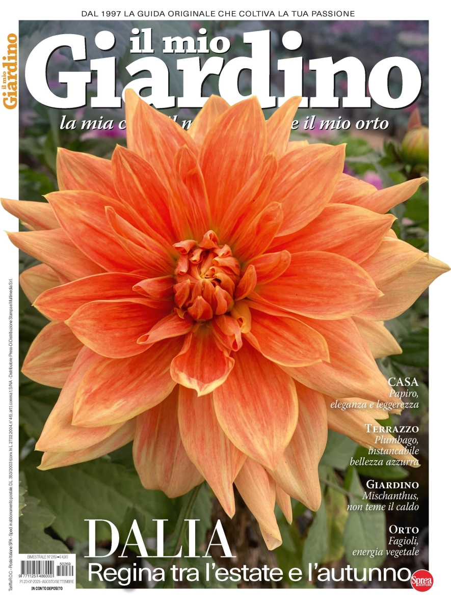 Copertina Il Mio Giardino n.269