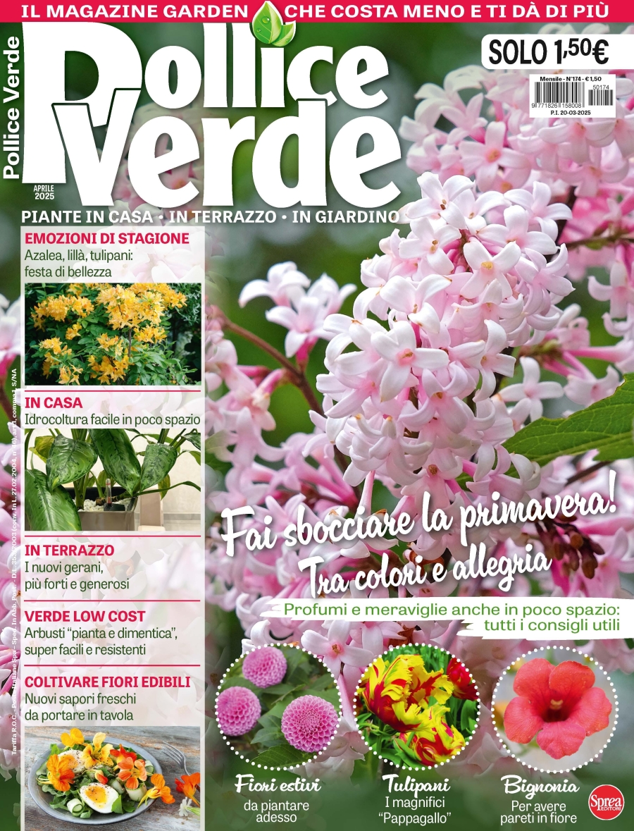 Copertina Pollice Verde n.174