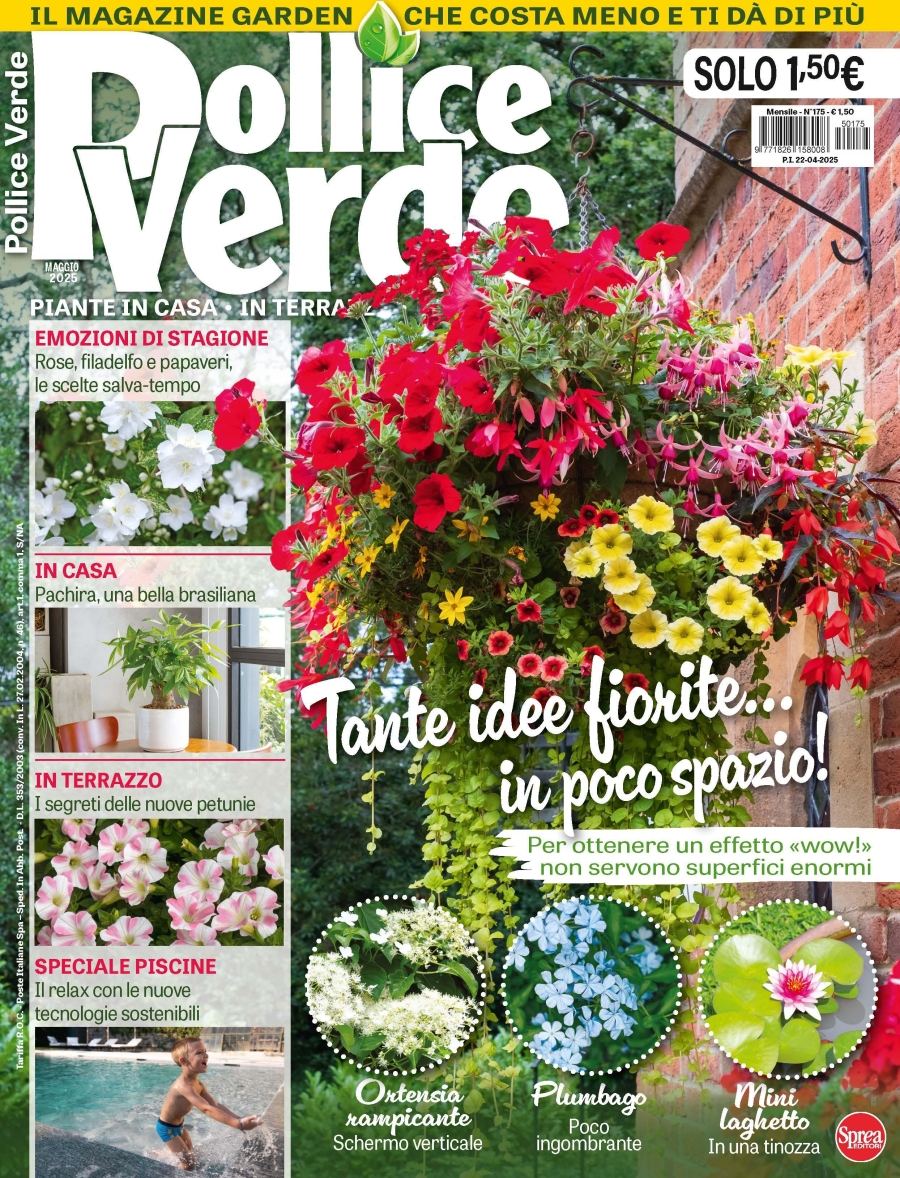 Copertina Pollice Verde n.175