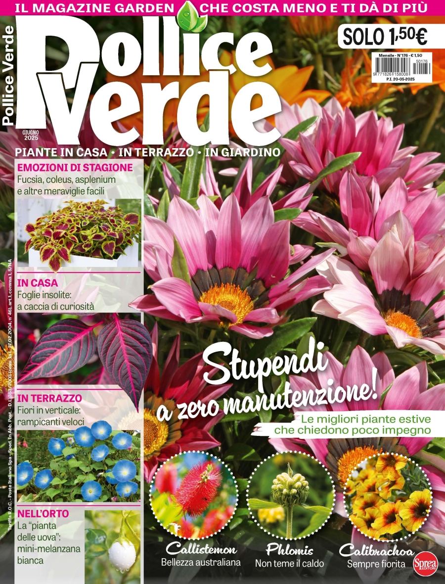 Copertina Pollice Verde n.176