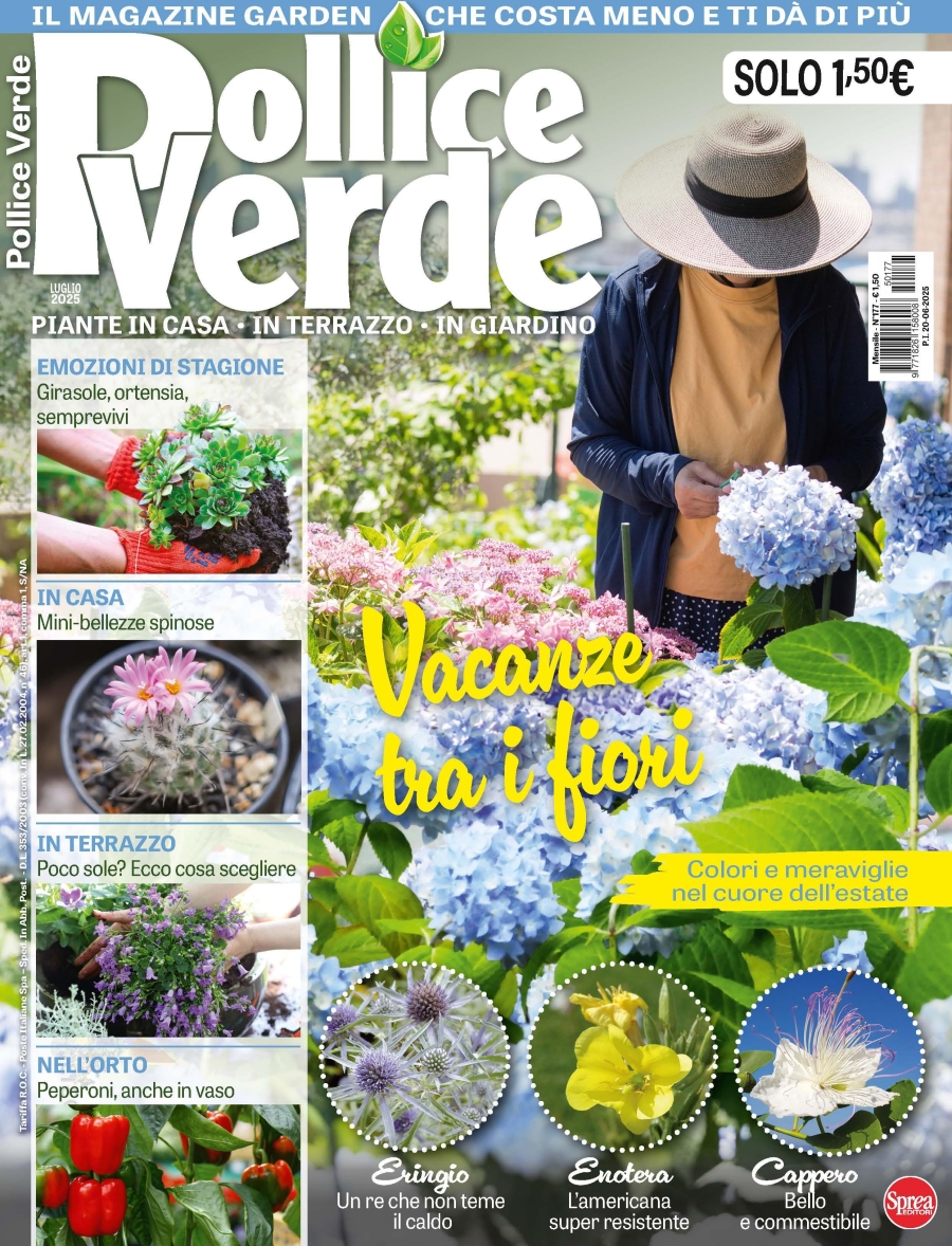 Copertina Pollice Verde n.177