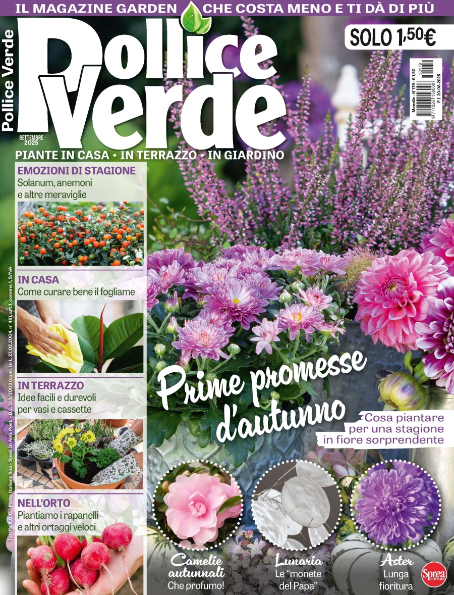 Copertina Pollice Verde n.179