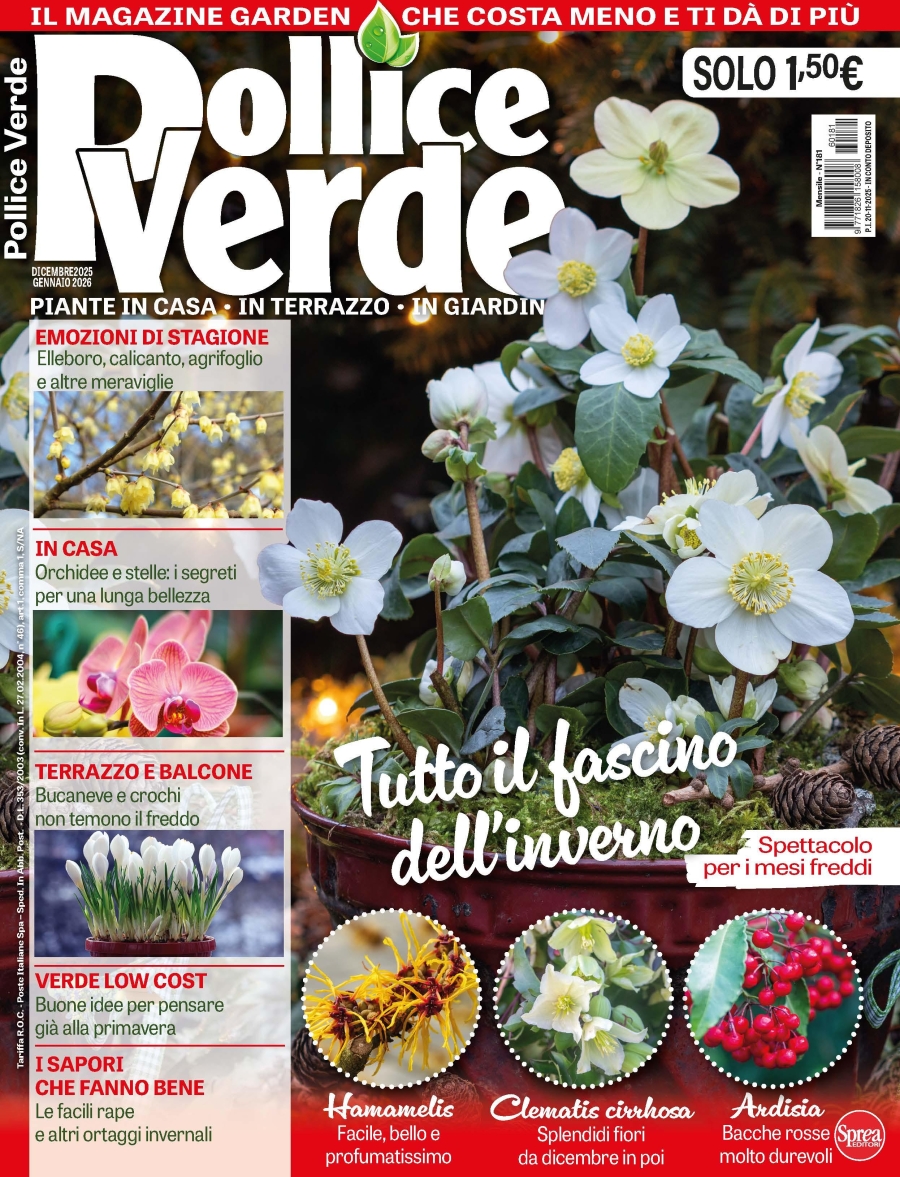 Copertina Pollice Verde n.181