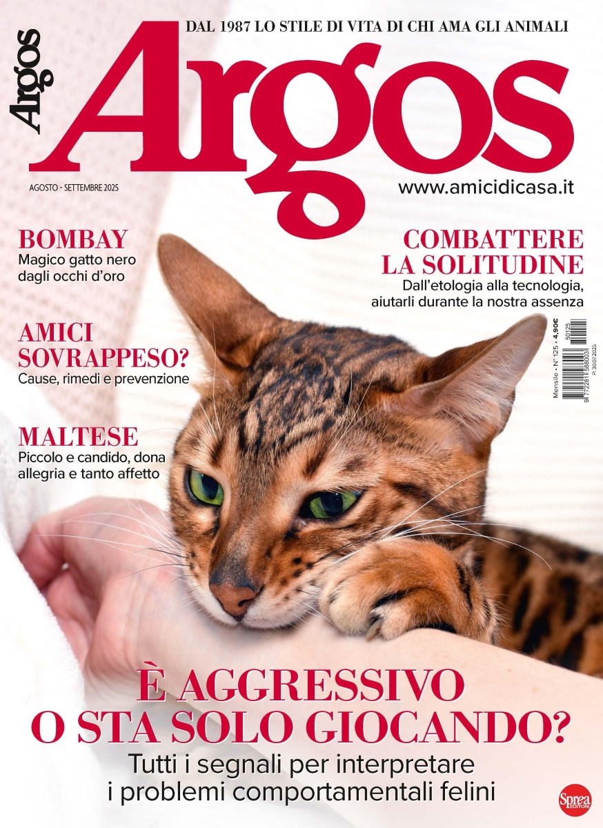 Copertina Argos n.125