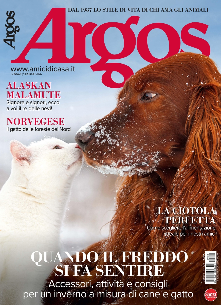 Copertina Argos n.128