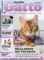 Copertina rivista Gatto Magazine