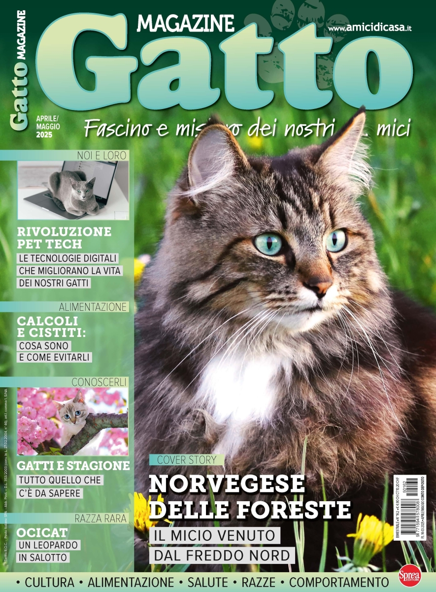 Copertina Gatto Magazine n.162