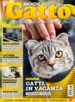 Copertina rivista Gatto Magazine