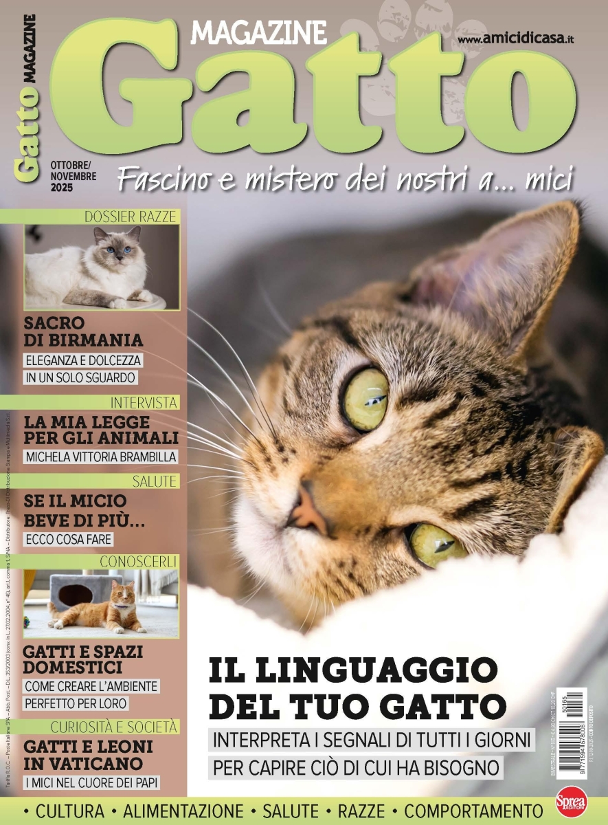 Copertina Gatto Magazine n.165