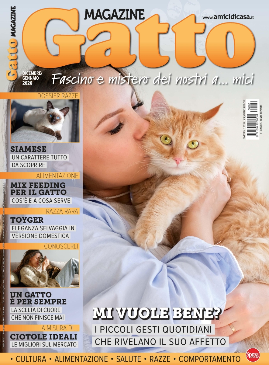 Copertina Gatto Magazine n.166