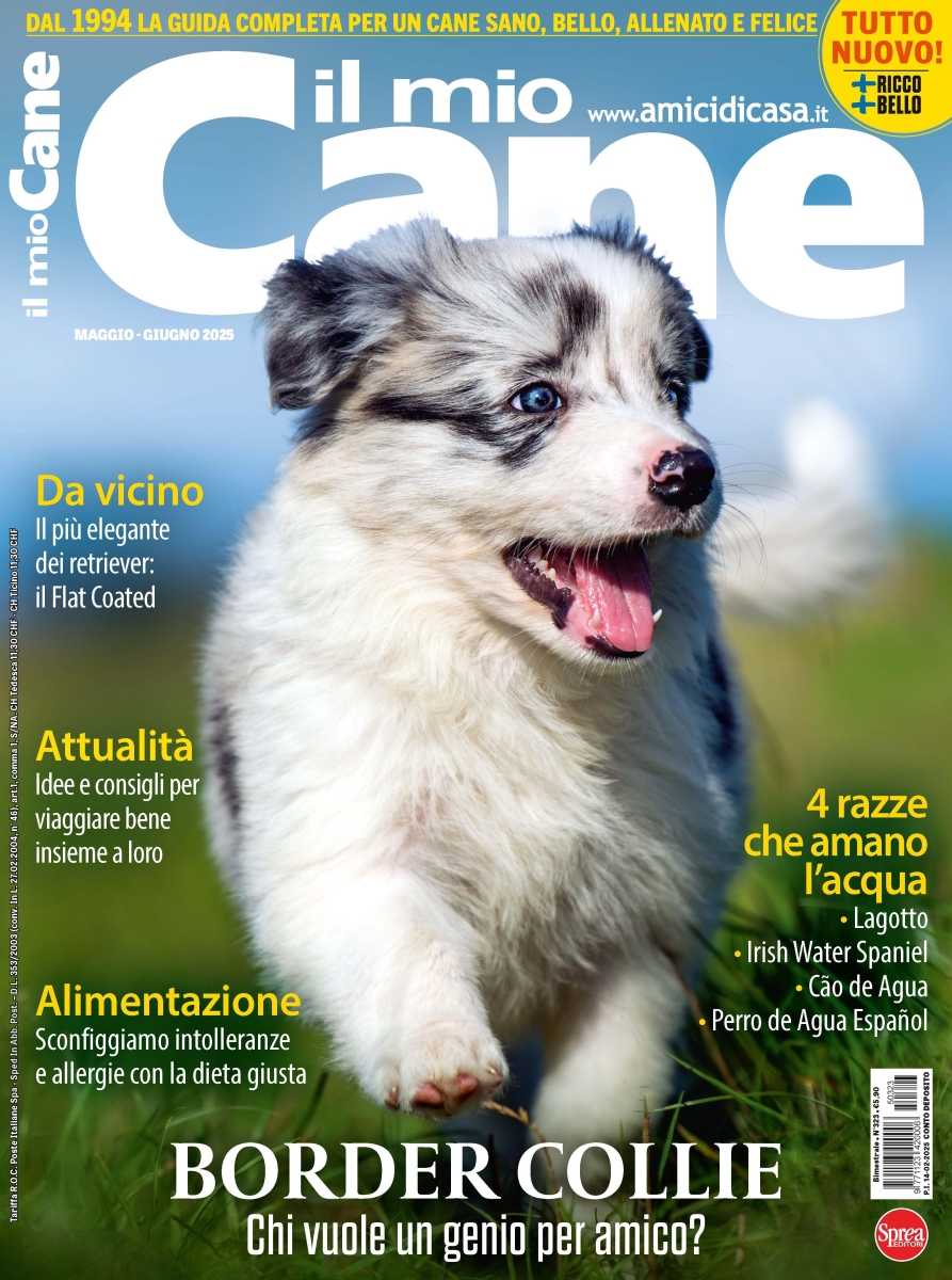Copertina