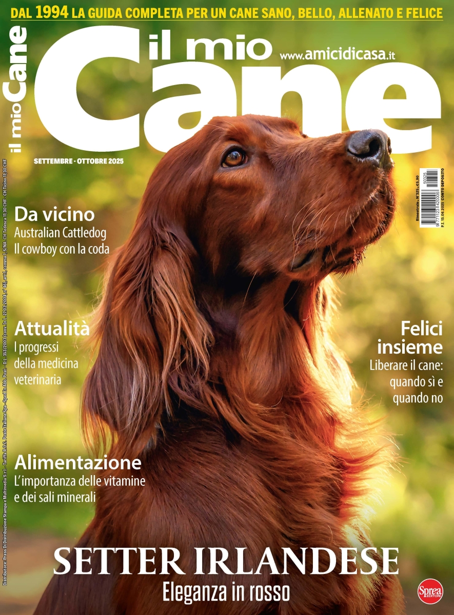 Copertina Il Mio Cane n.325