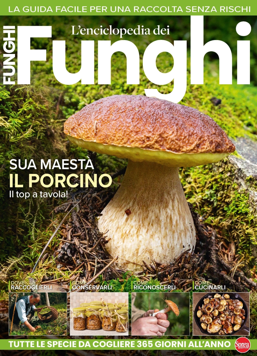 Copertina Il Mio Giardino Funghi n.6