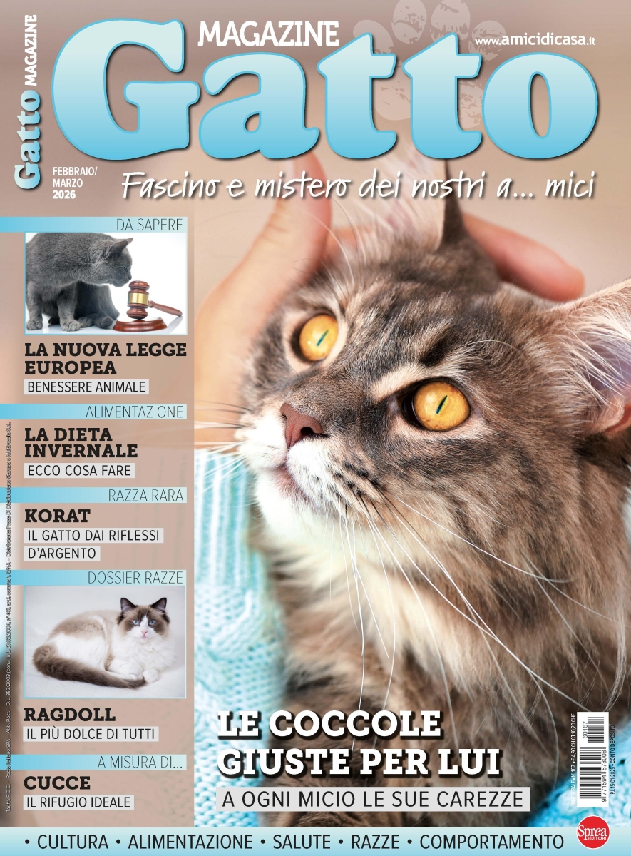 Copertina Gatto Magazine n.167