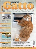 Copertina rivista Gatto Magazine