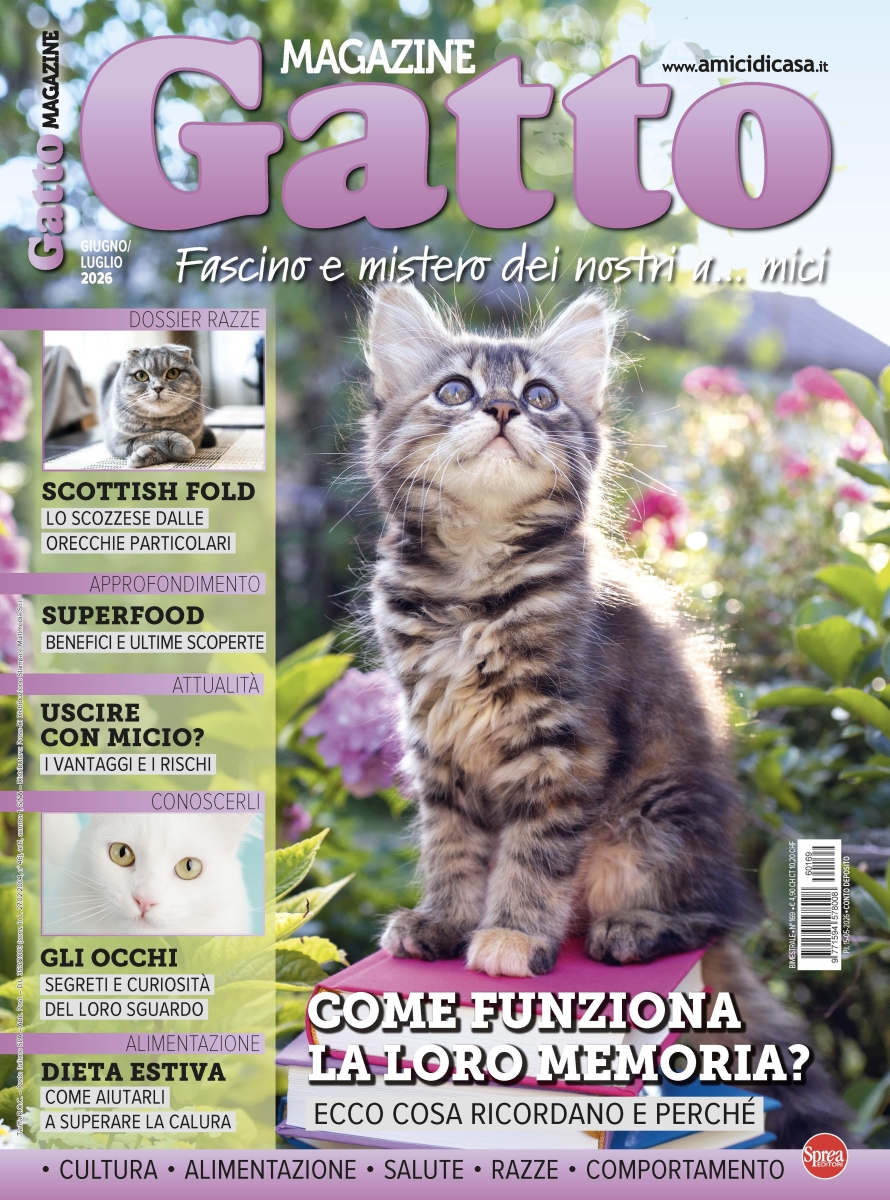 Copertina Gatto Magazine n.169