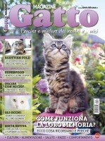 Copertina rivista Gatto Magazine