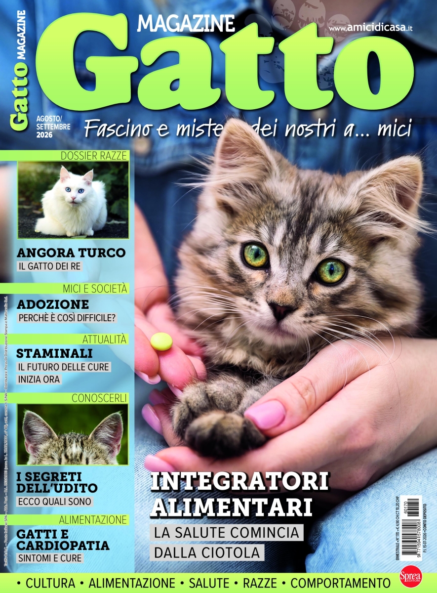 Copertina Gatto Magazine n.170