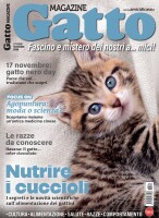 Copertina rivista Gatto Magazine