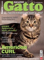 Copertina rivista Gatto Magazine
