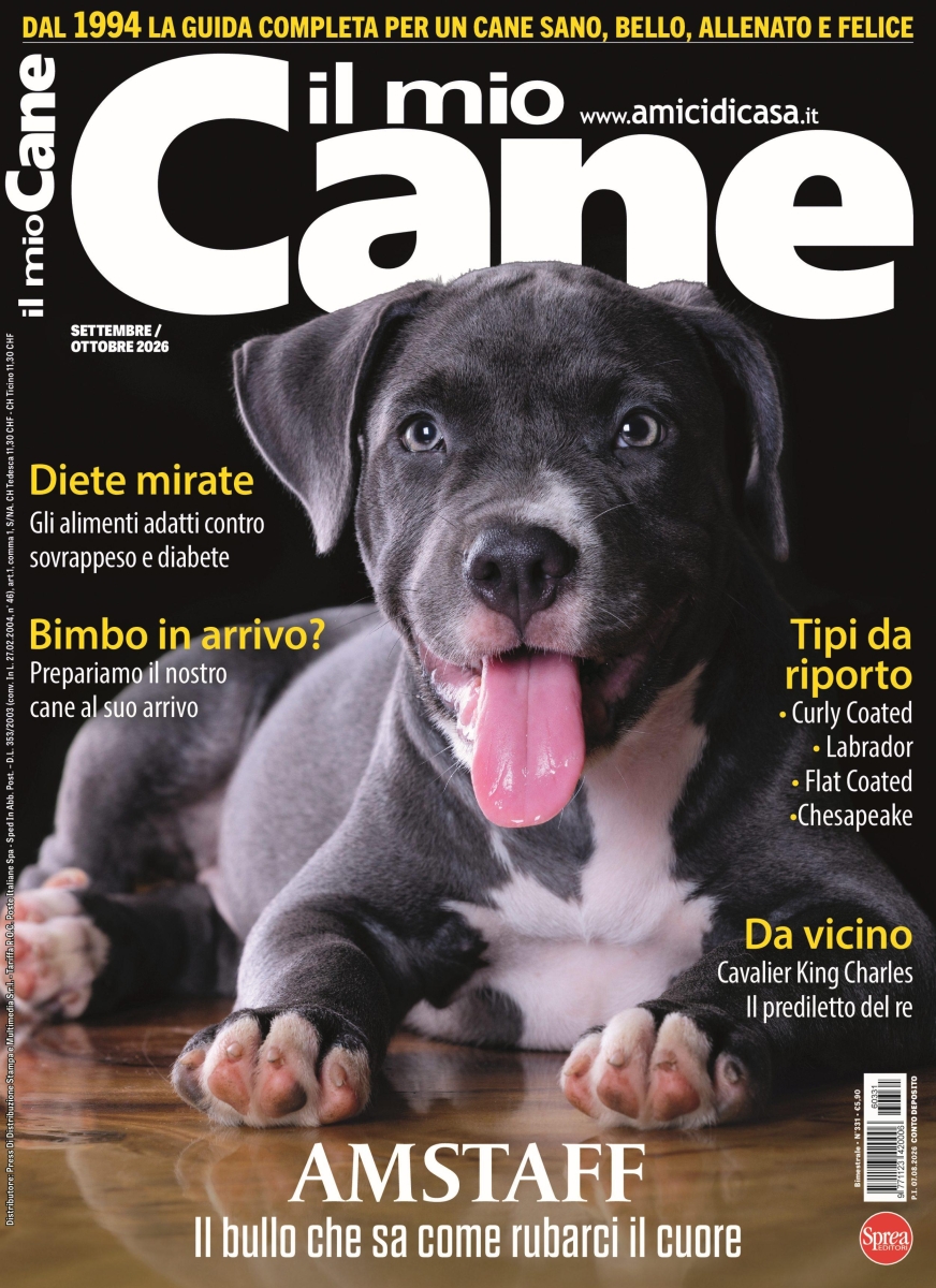 Copertina Il Mio Cane n.331