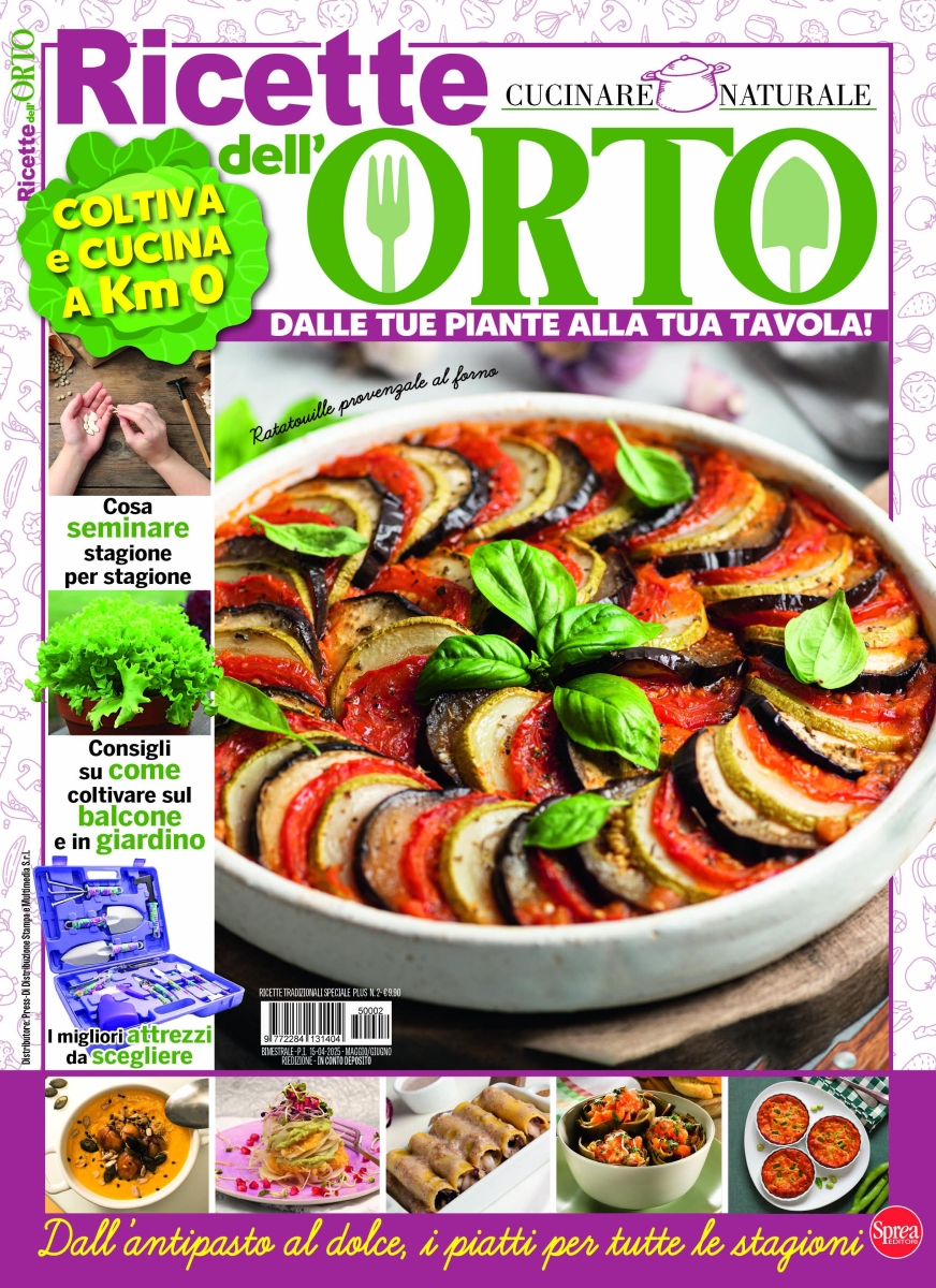 Copertina Ricette Tradizionali Speciale Plus n.2
