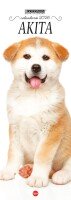 Copertina rivista Akita Inu Libreria