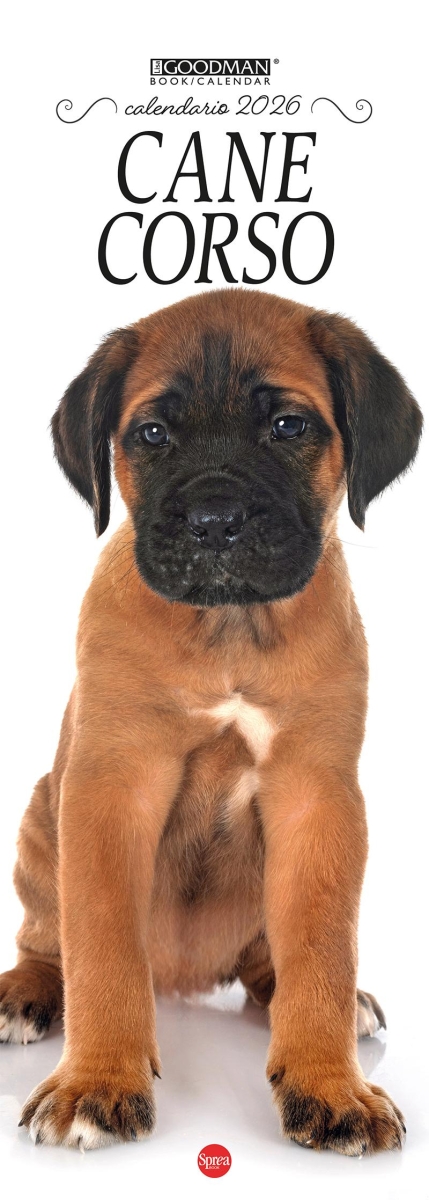 Copertina Cane Corso Libreria n.2