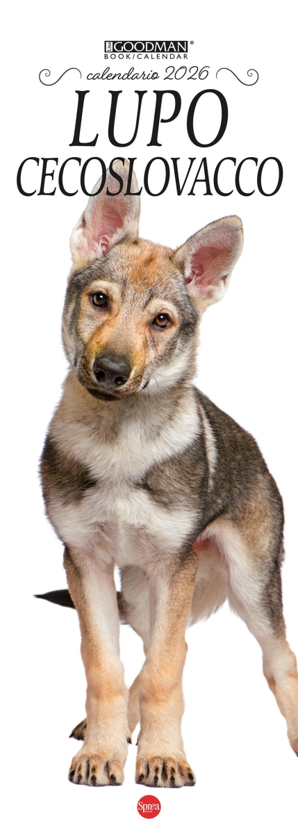 Copertina Cane Lupo Libreria n.2