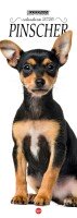 Copertina Pinscher Libreria n.2