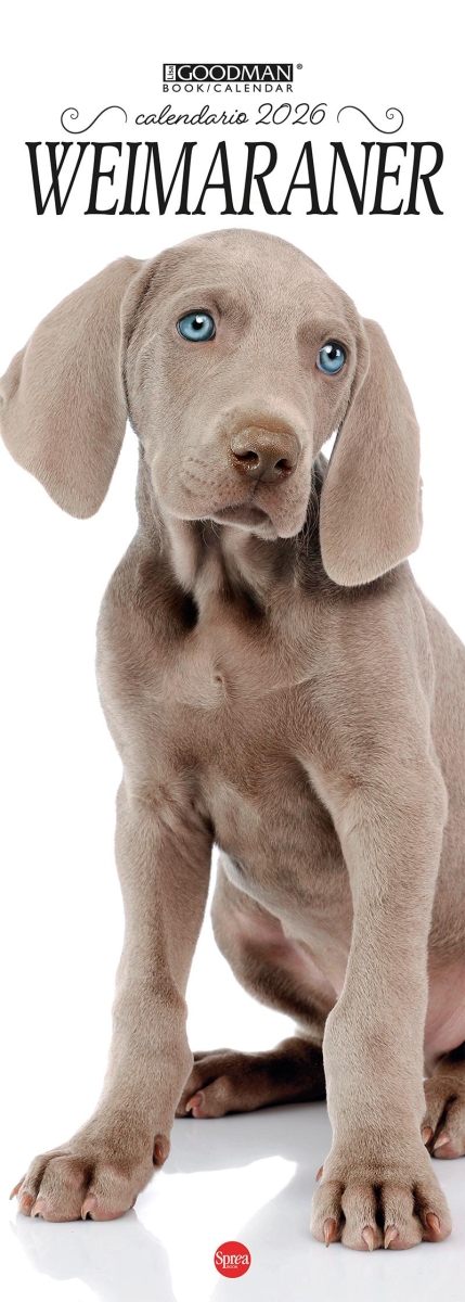 Copertina Weimaraner Libreria n.2