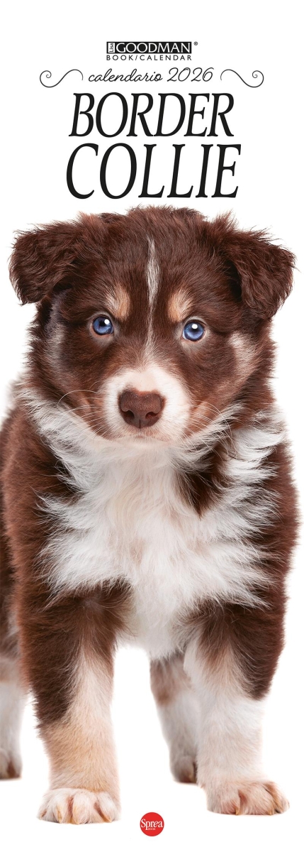 Copertina Border Collie Libreria n.1