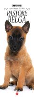 Copertina rivista Pastore Belga Malinois Libreria