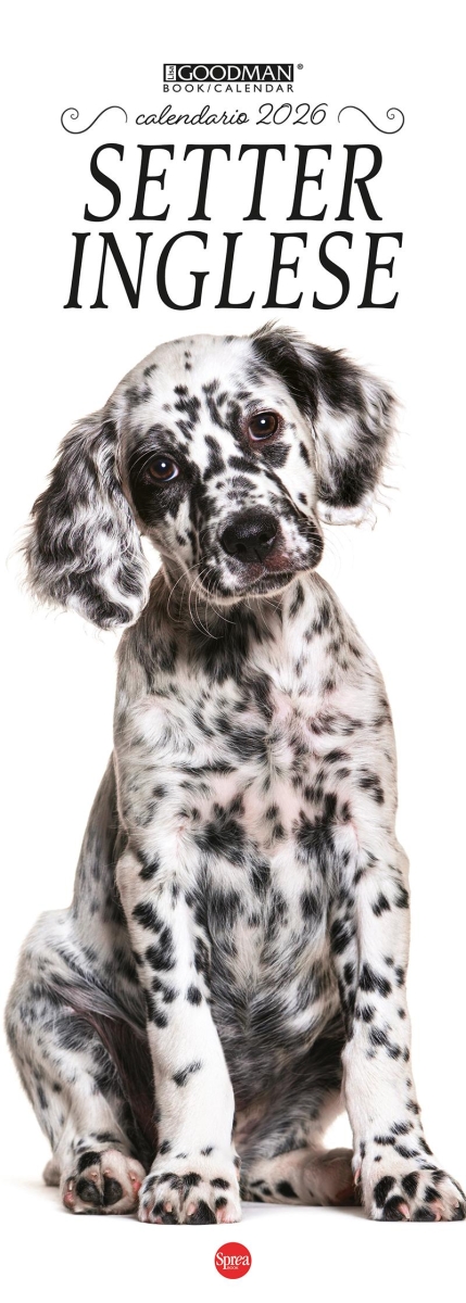 Copertina Setter Inglese Libreria n.1