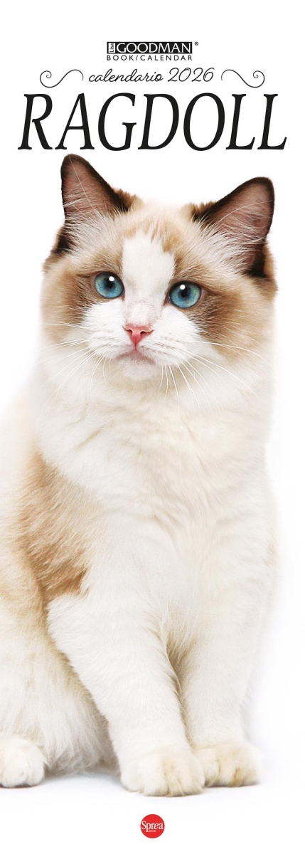 Copertina Ragdoll Libreria n.1