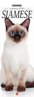 Siamese Libreria n.1