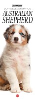 Australian Shepherd Libreria n.2