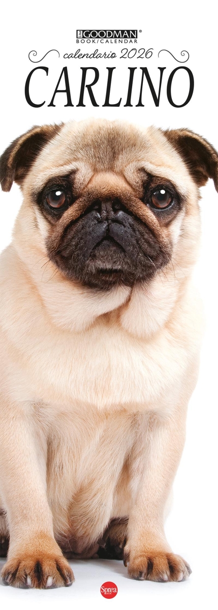 Copertina Carlino Libreria n.2