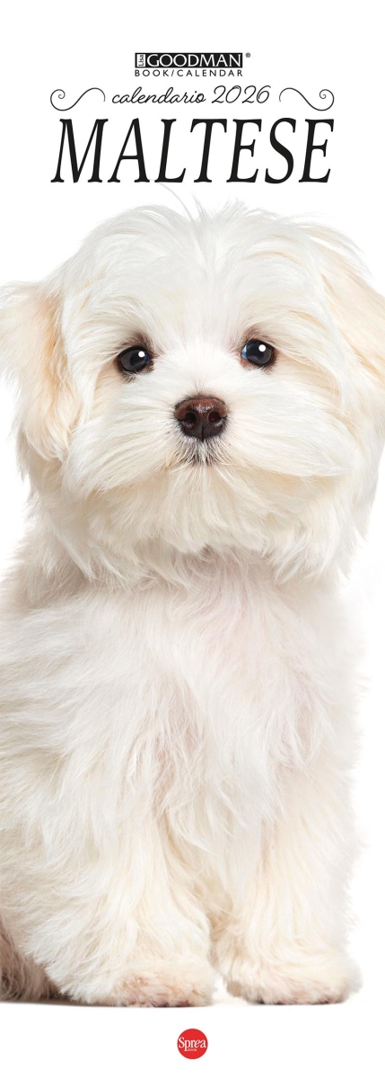 Copertina Maltese Libreria n.2