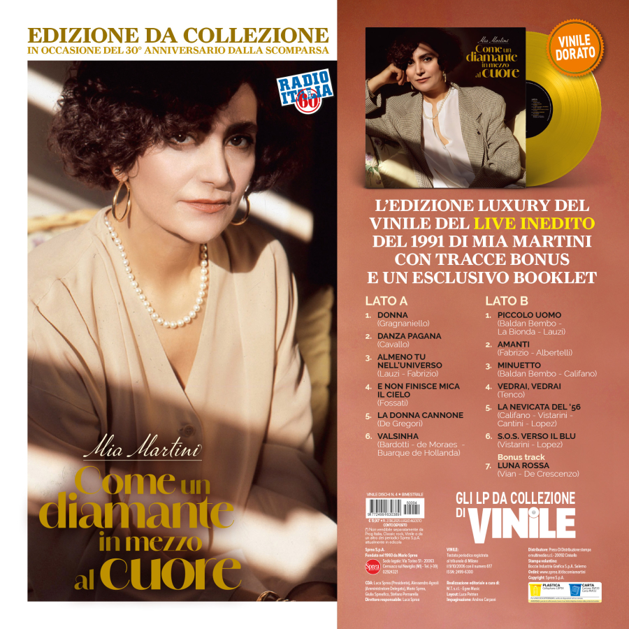 Copertina Vinile Dischi n.4