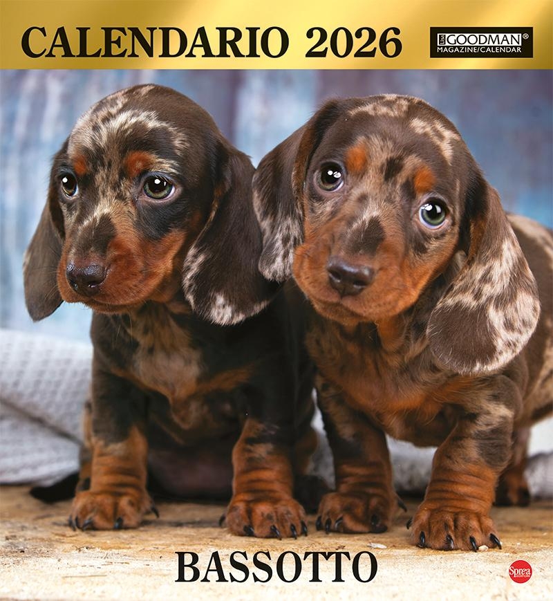 Copertina Argos Compiega/Bassotto n.1