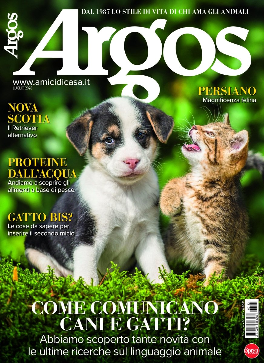 Copertina Argos n.132
