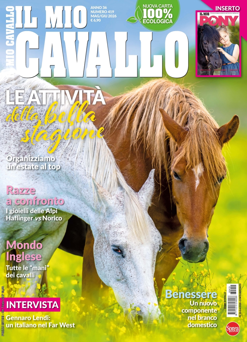 Copertina Il Mio Cavallo n.419