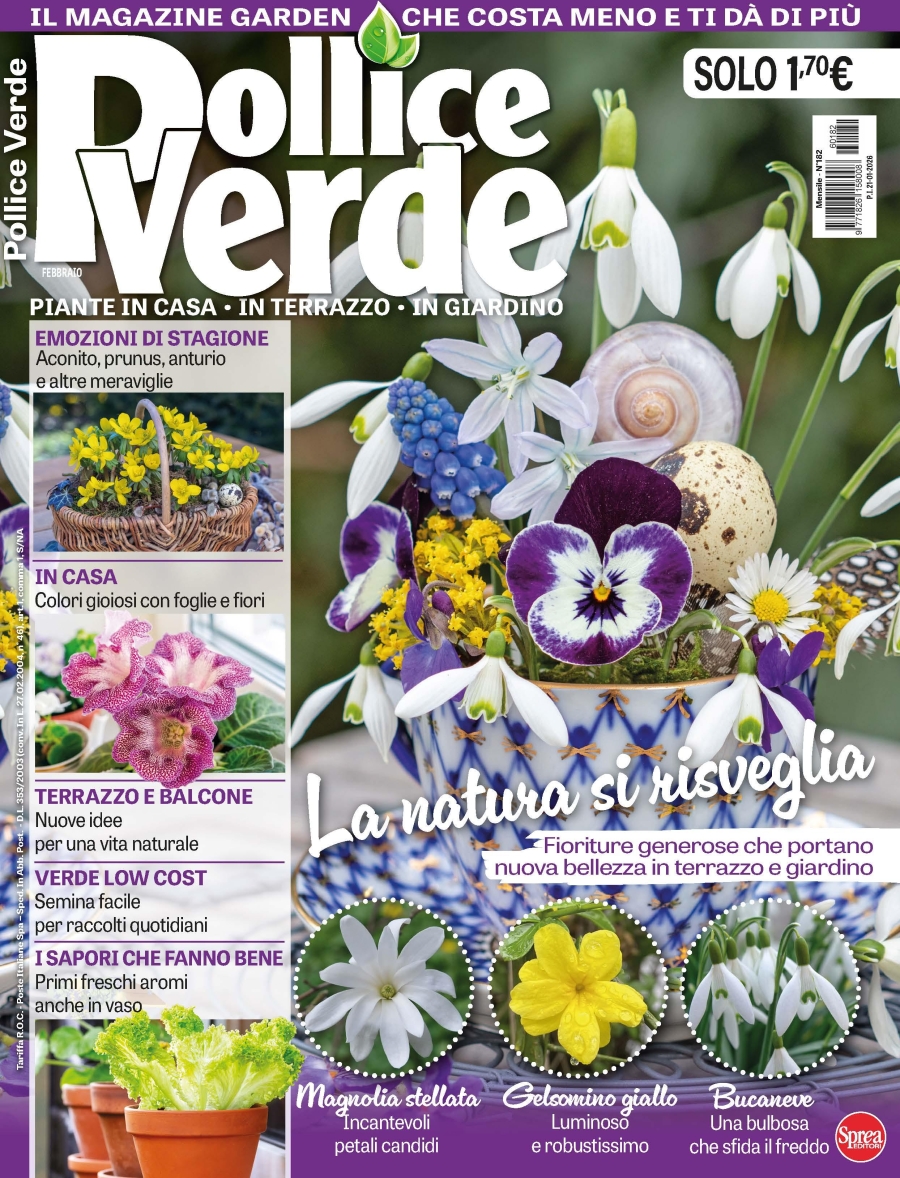 Copertina Pollice Verde n.182