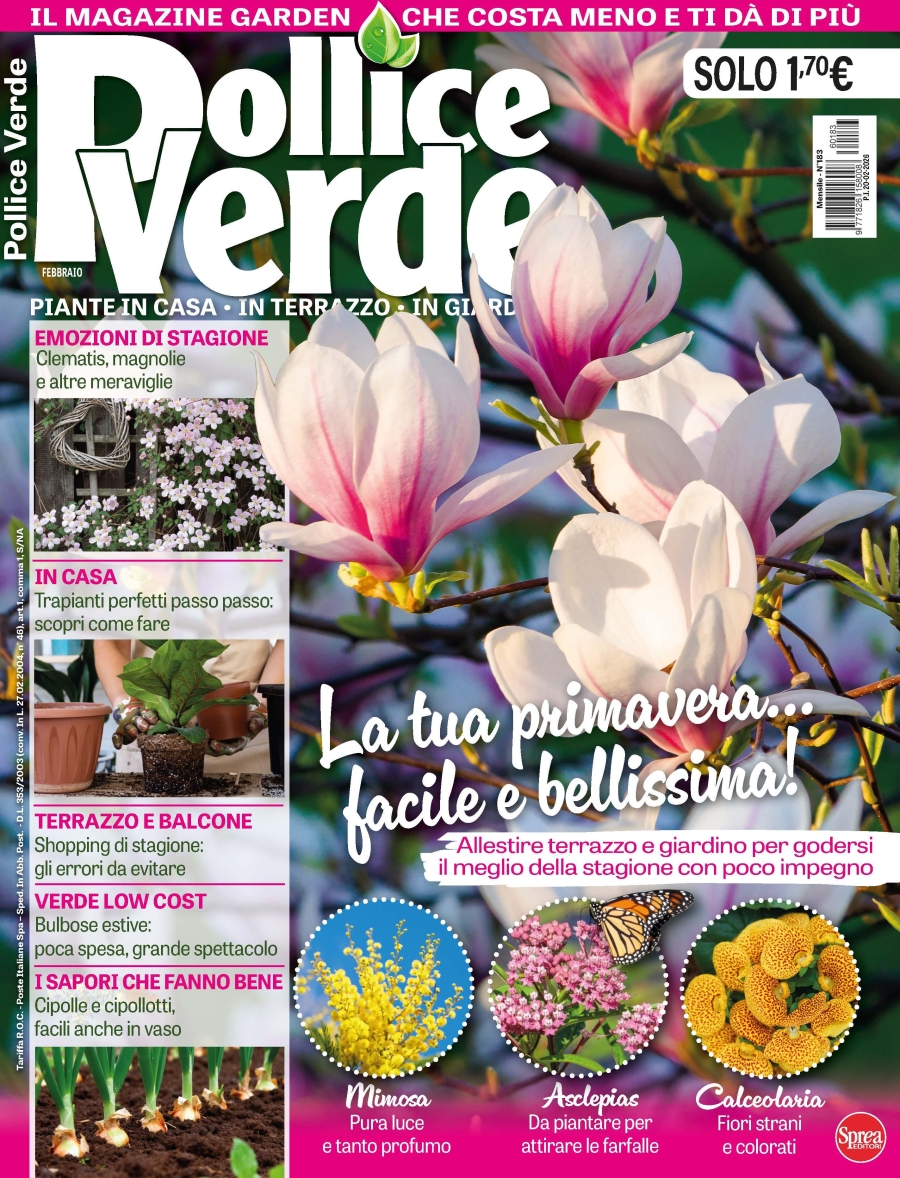 Copertina Pollice Verde n.183