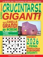 Copertina rivista Crucintarsi Giganti