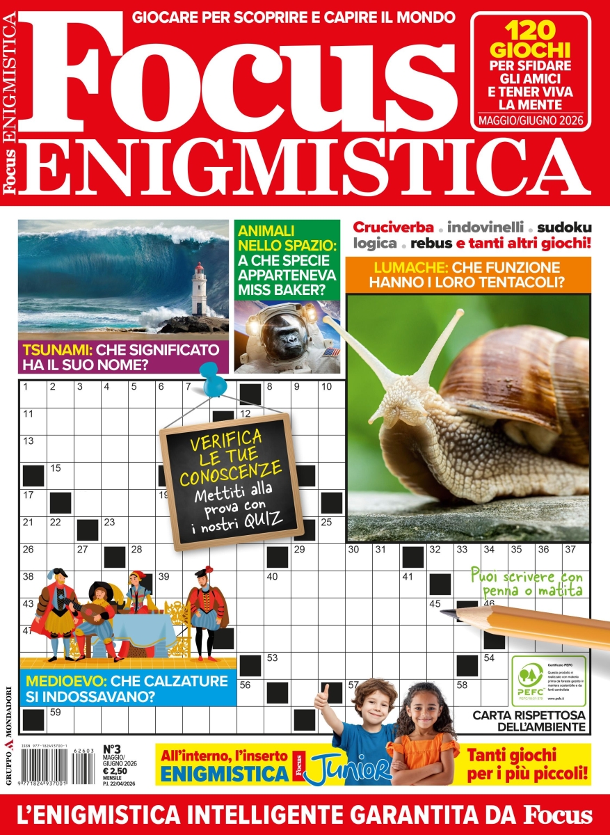 Copertina Focus Enigmistica n.29