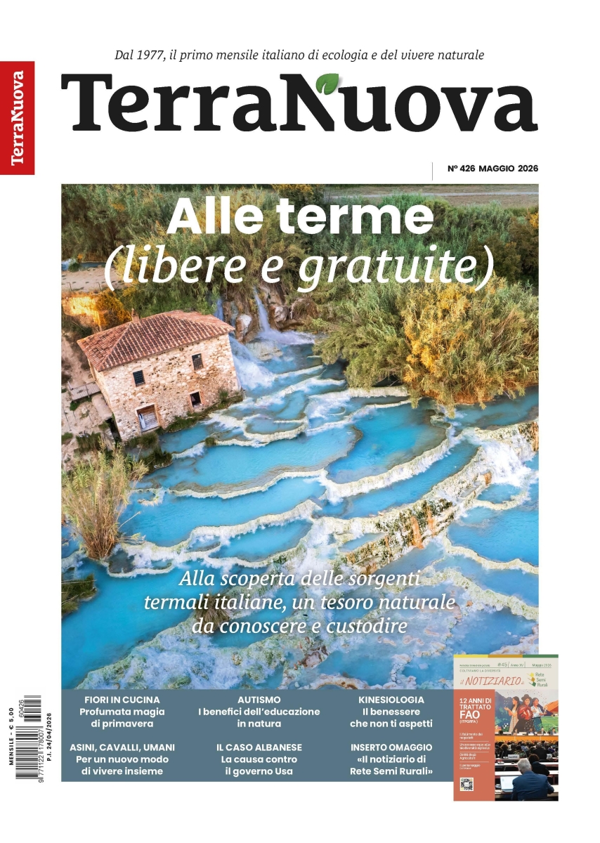 Copertina Terra Nuova n.426