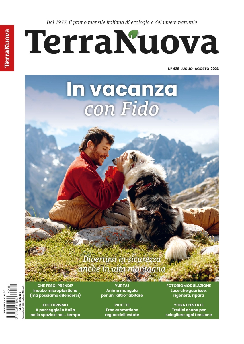 Copertina Terra Nuova n.428